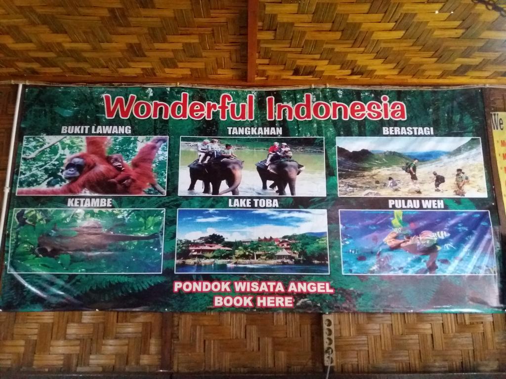 Wisata Angel Wisma tamu